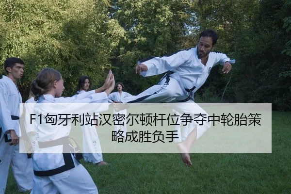 F1匈牙利站汉密尔顿杆位争夺中轮胎策略成胜负手