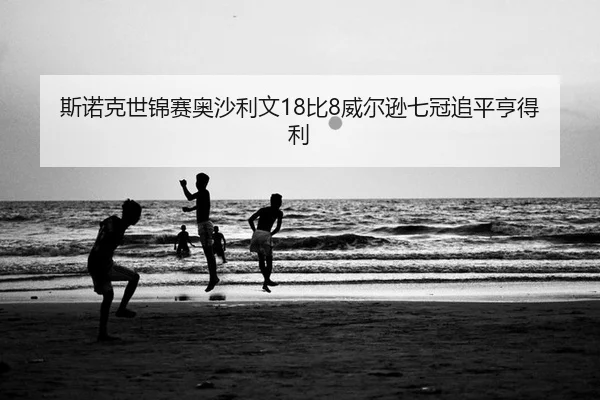 si-nuo-ke-shi-jin-sai-ao-sha-li-wen-bi-wei-er-xun-qi-guan-zhui-ping-heng-de-li-2-930.jpg